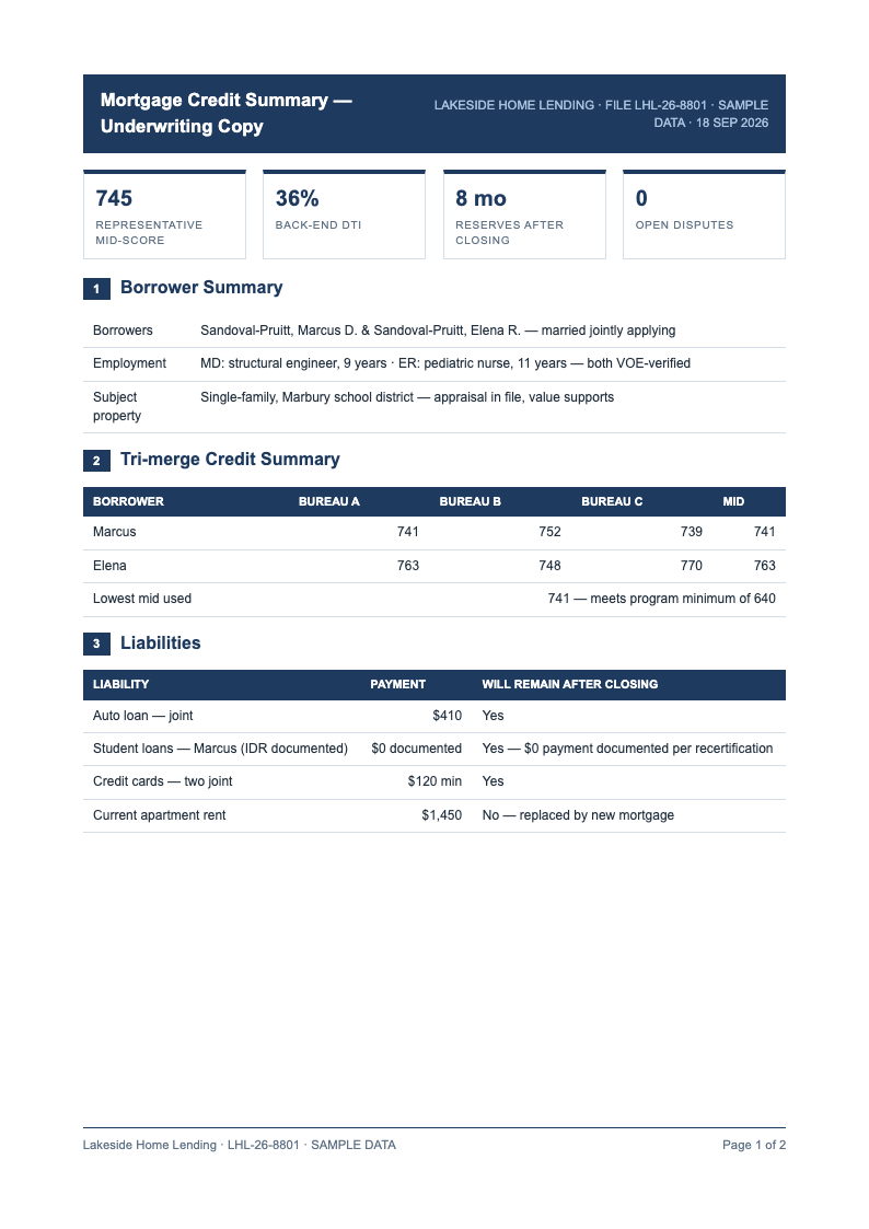 Executive summary credit report
